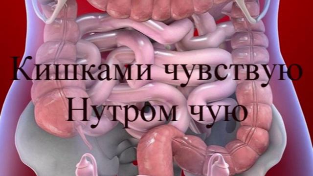 Школа Здоровья. Дефекация