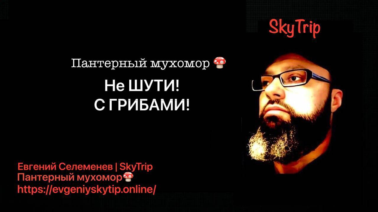 Пантерный мухомор I Не ШУТИ с ГРИБАМИ! I SkyTrip