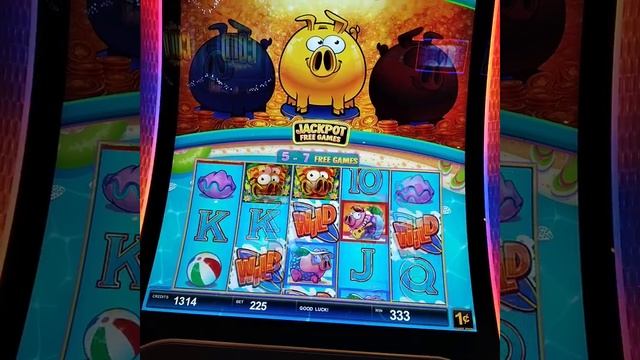 Piggie Bonus#piggy#luck#win