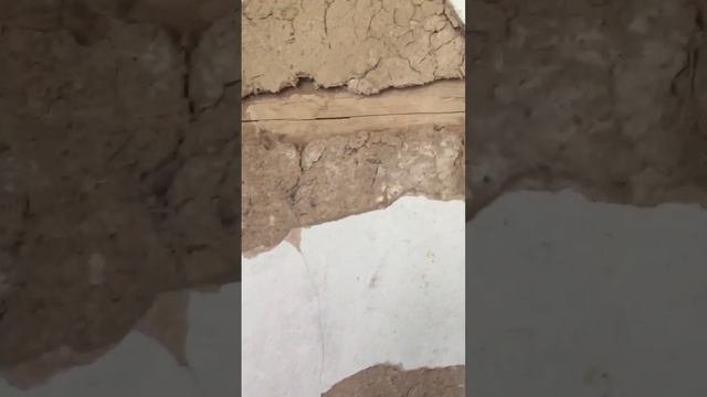 Раствор для штукатурки#ремонт #мойогород #органическоеземледелие