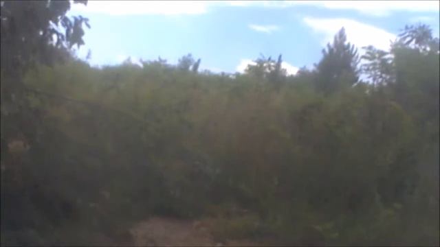 Foreman 500 and rzr 800