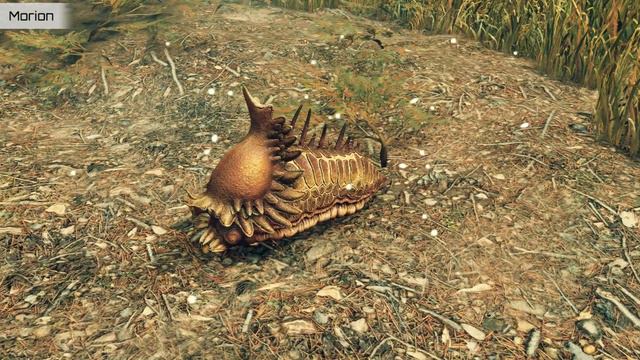 All 'Crawling' Alien Creatures in Starfield [Fauna Showcase]