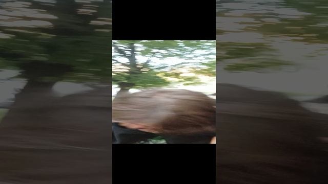 Никита конь трясёт гривой.