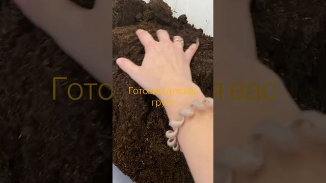 Наши будни в Оранжерее!