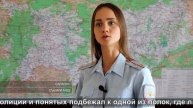 Секрет в туалете I The secret is in the toilet
