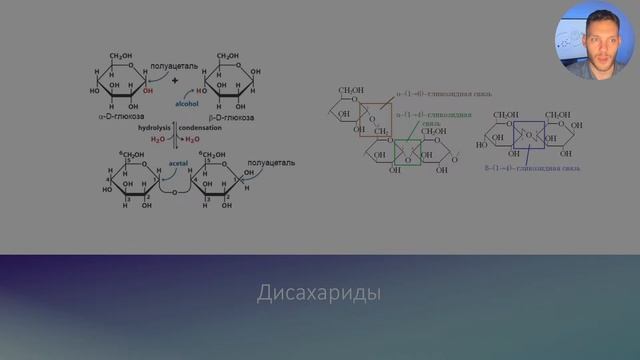 УГЛЕВОДЫ! Классификация химическая и биологическая