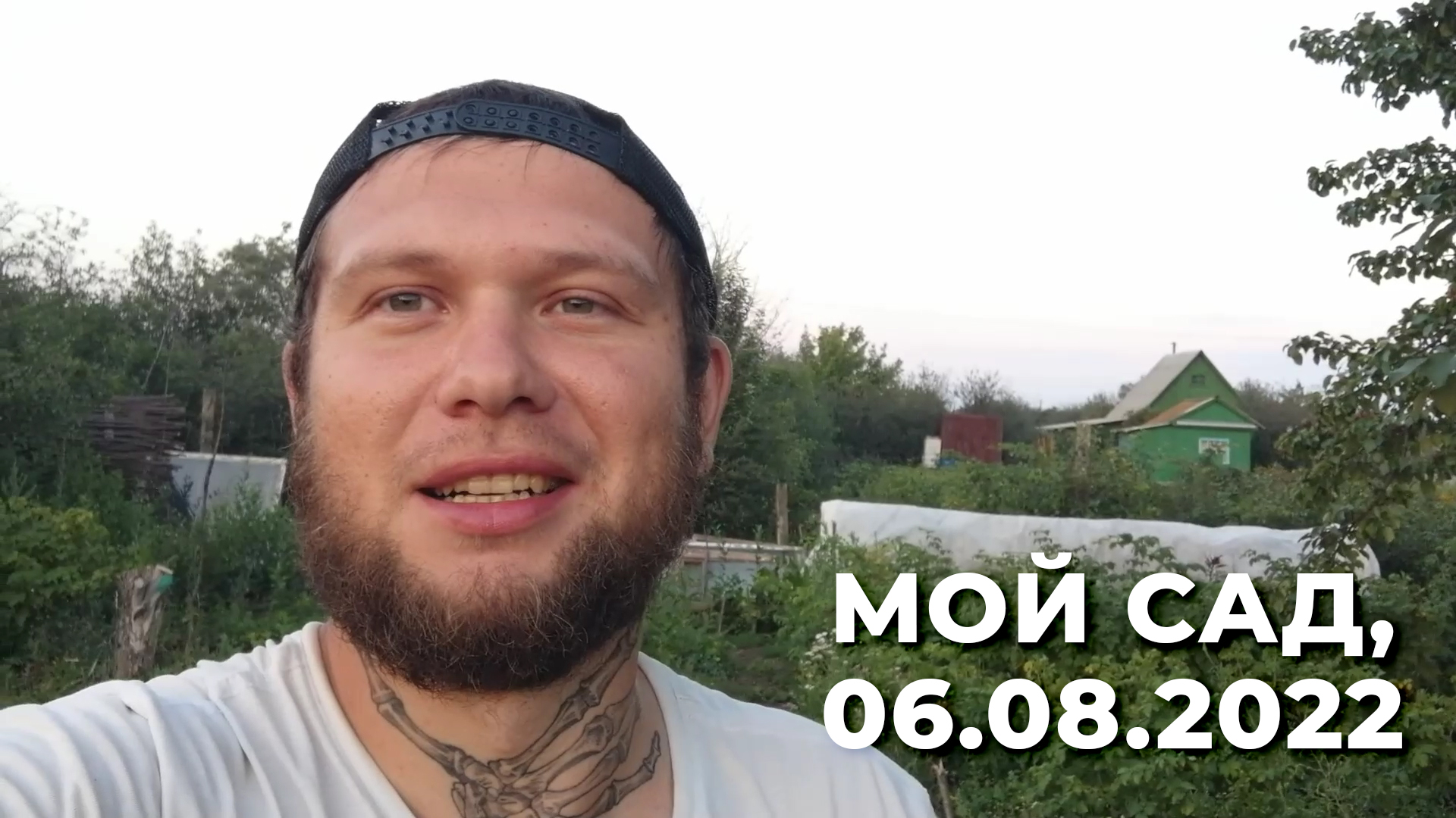 Мой сад, 6 августа