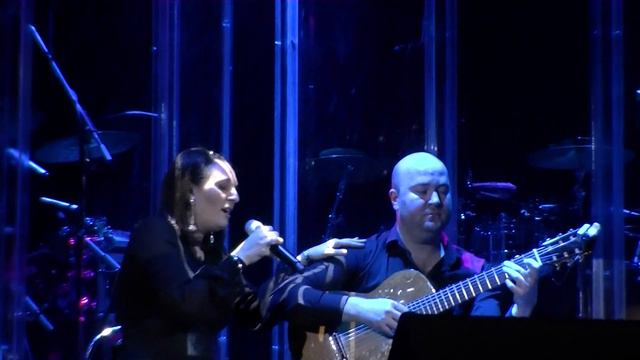 Песня черепахи, Королева, Шопен, Радуйся Гомель 23.04.2016