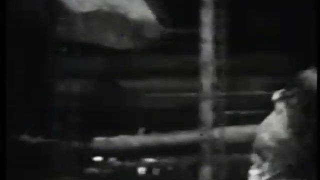 Гнездо глухаря