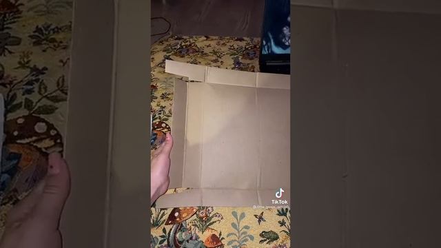 как сделать травник для ведьм видео из тик ток (видео не моё)