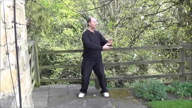 18 Exercises Tai Chi Chi Kung Meditation basic instruction with Sifu Paul Nathan