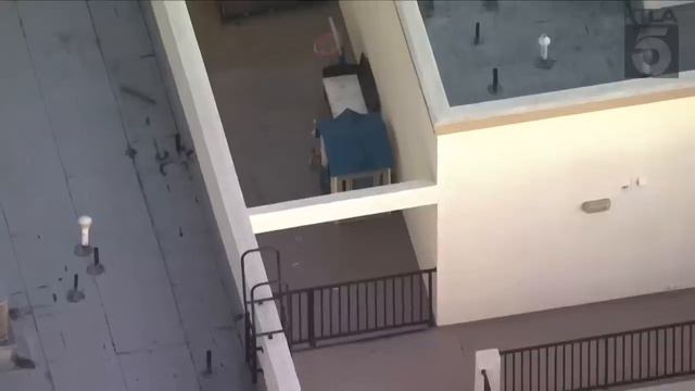 Stolen vehicle suspect arrested after leading authorities in chase