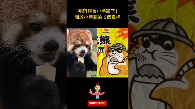 【原來我們都被騙了】「小熊貓」和「小浣熊」你搞混了嗎？ 【晴耕雨讀｜Ashley】#小熊貓 #小浣熊 #動物