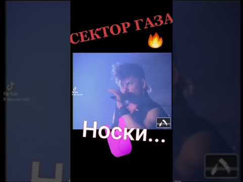 Сектор газа - Носки