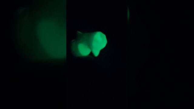 Кот Вася