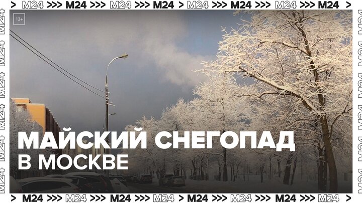 Москвичи присылают видео со снегопадом в разных районах города - Москва 24