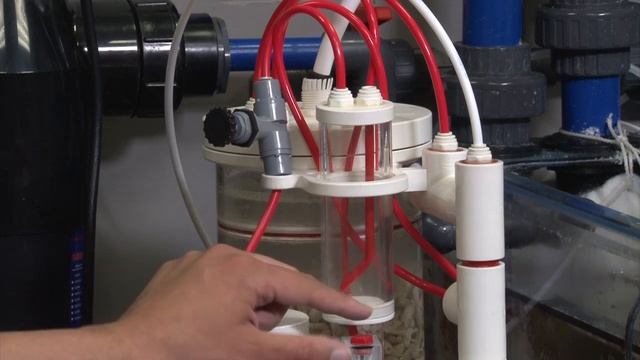 Calcium Reactor setup on the BRS160...Finally!  | #AskBRStv Live