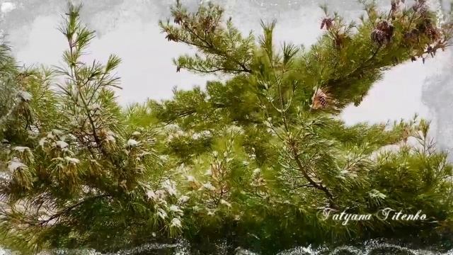Первый снег  Андрей Обидин  First Snow Andrey Obidin