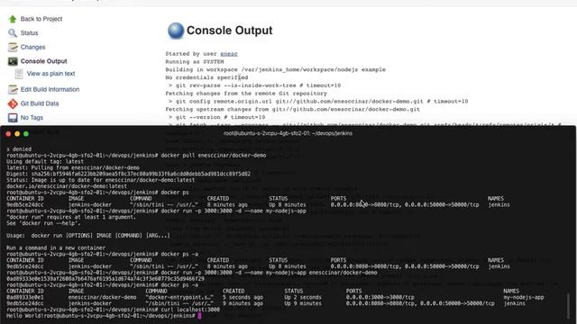 Jenkins First Build with Docker + DSL