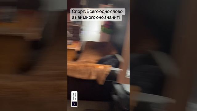 Спорт