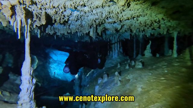 Дайвинг в пещерах Мексики. Пещерная система Черного Ягуара.