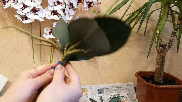 Как посадить искусственную орхидею в кашпо. Продолжение
