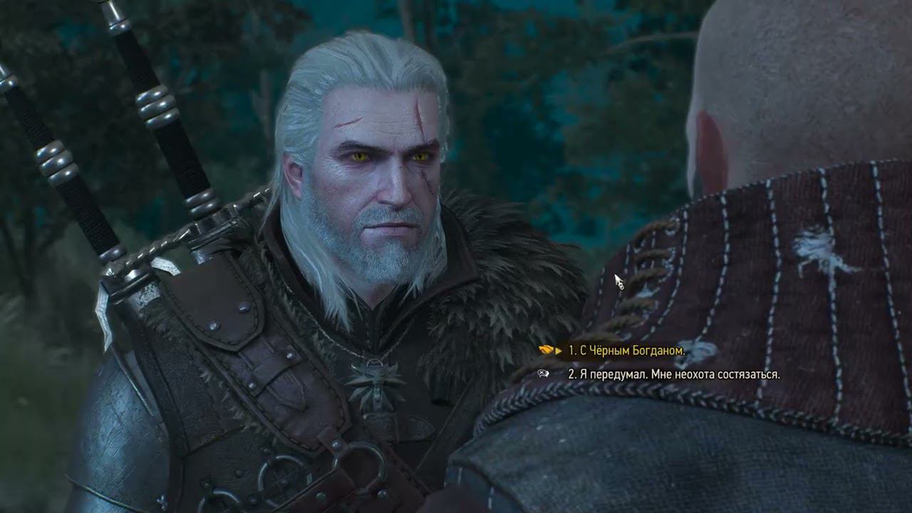 The Witcher 3 New game+ #7