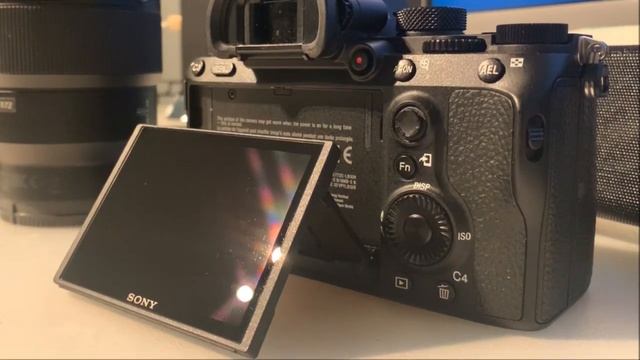 SONY A7III REVIEW!