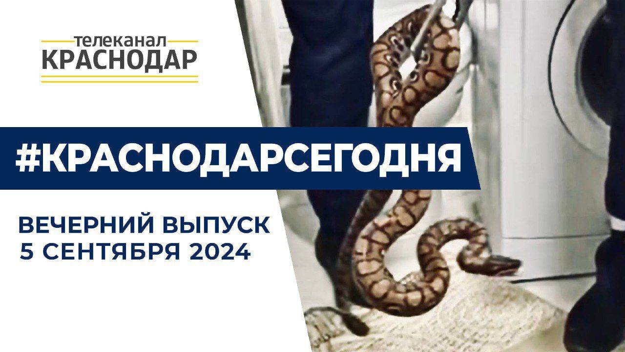 Змея в ванной комнате, рост ключевой ставки и другие новости 5 сентября