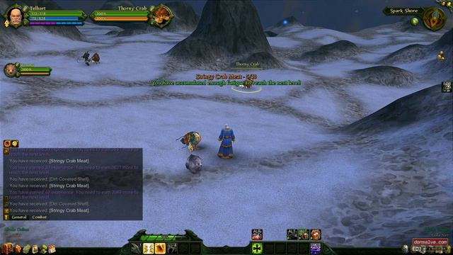 Allods Online | Random Gameplay