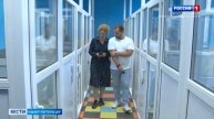 Сколько кошек и собак может проживать в одной квартире?