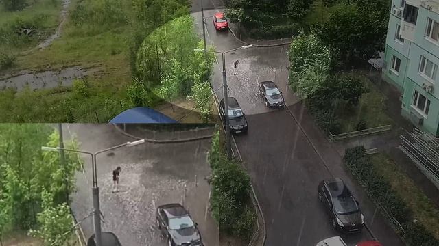 Дождь. Босиком по лужам. Июнь.