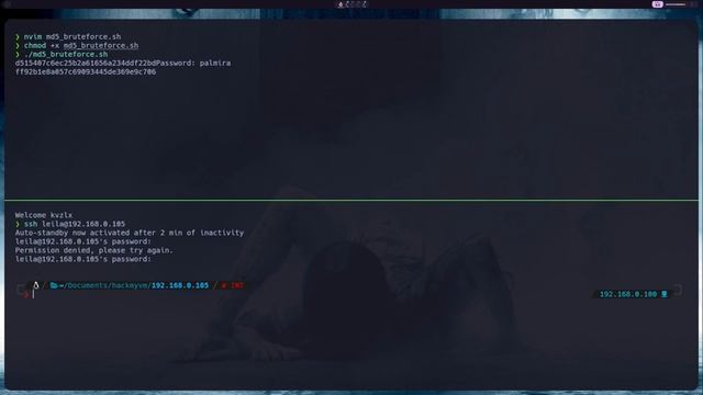 HackMyVM Inkplot walkthrough | Cross-site WebSocket hijacking (CSWSH) | RC4 encryption