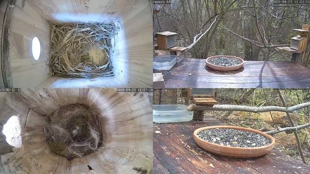 Онлайн-трансляция - 2020. 23.04.2020 г.. Город Калуга