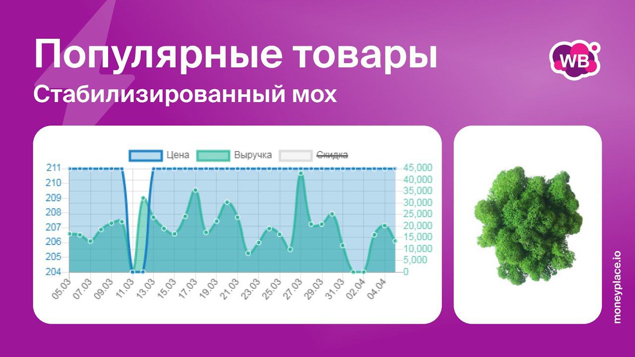 Продажи стабилизированного мха на Wildberries. Аналитика маркетплейса