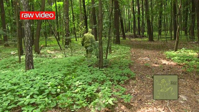 "Горка Mk-2" от P1G-TAC (камуфляж "Жаба") в лесной зоне Украины (исходник видео).