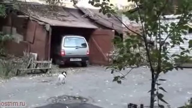 Девушка пытается въехать в гараж