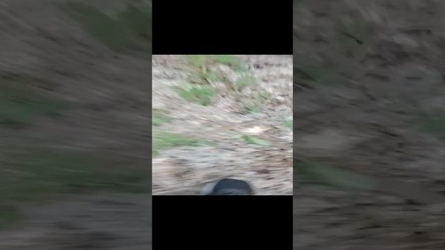 местические гаражы