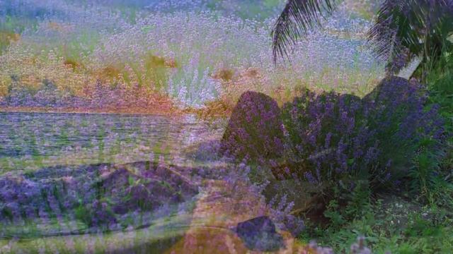 15 Minute Meditation Music, Calm Music, Relax, Meditation, Stress Relief, Spa, Study, Sleep