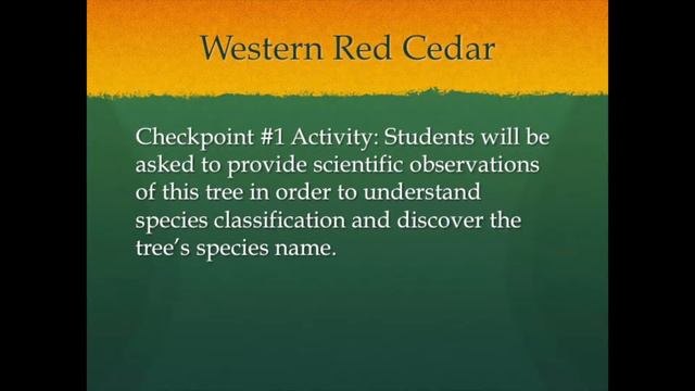 Sword Fern Trail Activity Tutorial