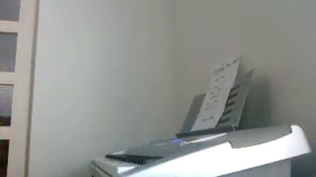 Rammstein amerika keyboard solo cover