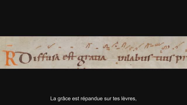 Diffusa est gratia