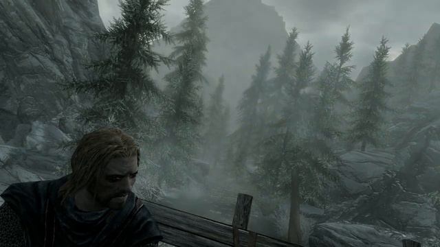 Skyrim Forgot to cap FPS