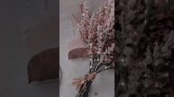 Как я вижу эстетику имени Настя. ????☕ #эстетика #shorts ????❤️