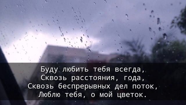 Стих любимой девушке 19  признание в любви  Стихи о любви