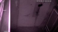 Пожар Звук на камерах 1