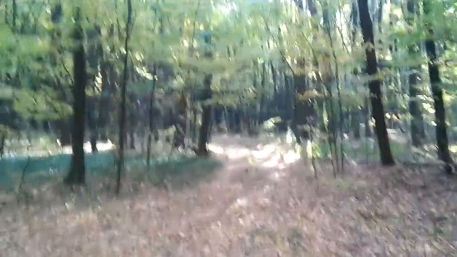 КОП по лесной дороге, minelab x terra 705 vs AKA Беркут 5 Часть 2