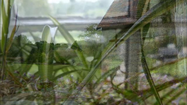 Photography - Lumix FZ150