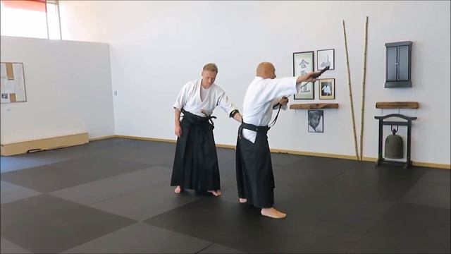 19 Toho Iaido Ushirogiri Gyakuhanmi ura Kaitennage TI