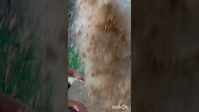 красота